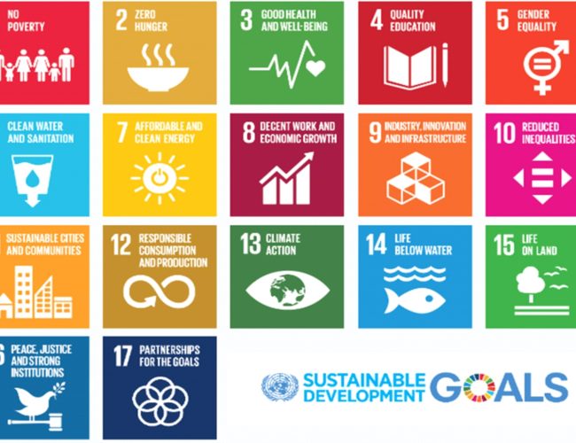 Sustainable Dev Goal-min